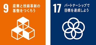 SDGs 9-17