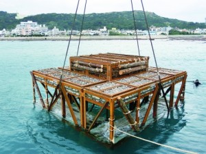 神鋼建材、木材活用増殖礁「魚類増加を確認」