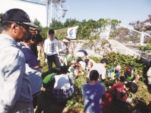 新日鉄住金エンジ、北九州寮でイモ掘り交流