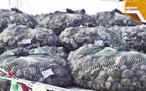 神鋼、兵庫県内の海域工事　スラグ製品初納入　潜堤構築材1000トン