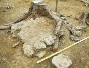 銅製錬遺跡・宮前鉱山跡　江戸時代中期に50年操業と確認　兵庫県教委