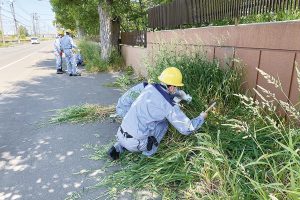JFE条鋼豊平製造所　清掃・除草活動を実施