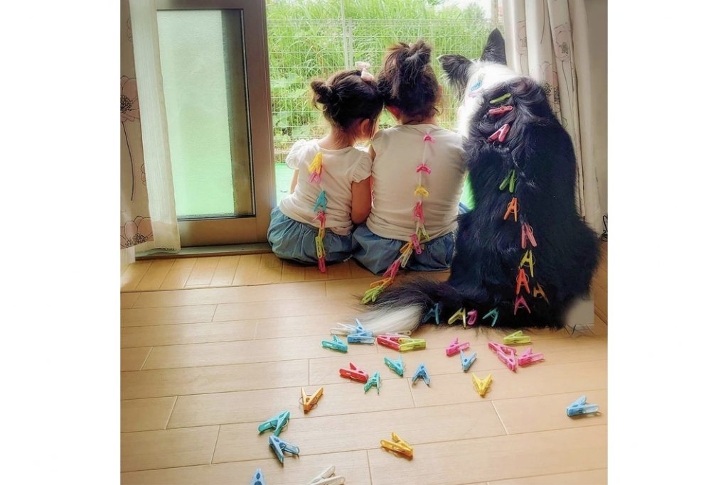 「わが家の住まいる　ペットフォトコンテスト」　三協アルミ社長賞決まる