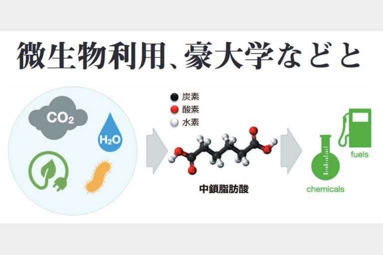 日本製鉄、CO2から中鎖脂肪酸製造研究に着手　微生物利用、豪大学などと