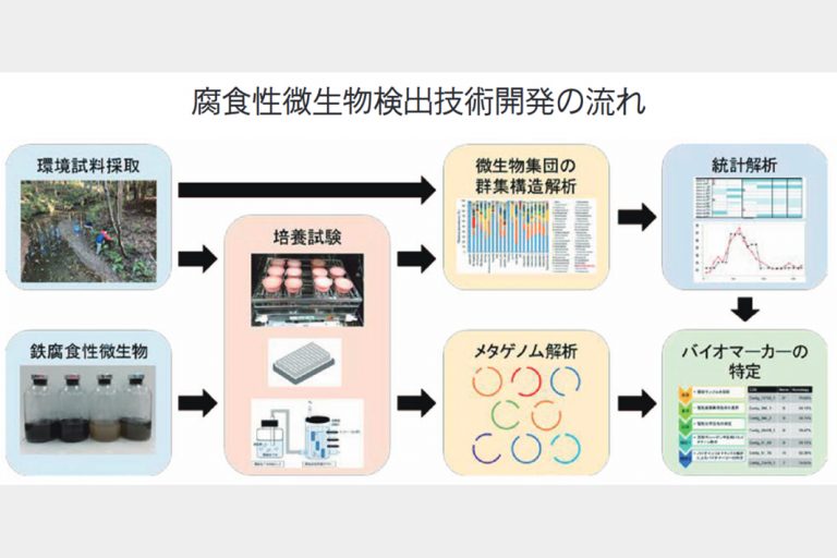 海洋研究開発機構　金属の「微生物腐食」　日鉄と解析