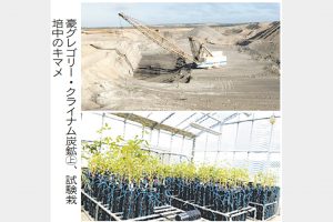 双日　炭鉱遊休地で森林育成　事業収益化狙う