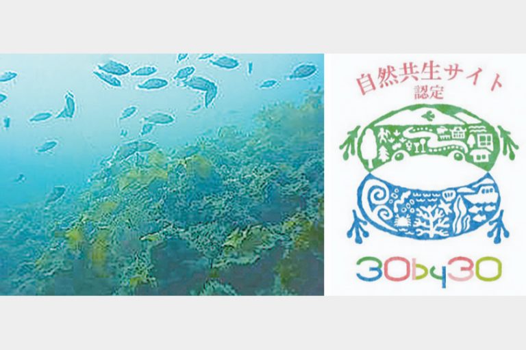 鉄鋼スラグ活用の藻場　「自然共生サイト」に認定　ＪＦＥなど、山口・岩国で