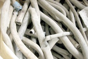 再生鉛供給が逼迫　鉛管スクラップ発生不足